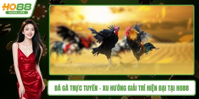 Đá gà trực tuyến